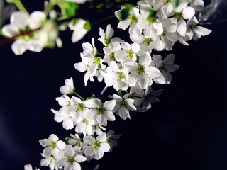 762733