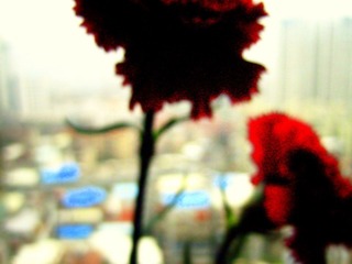 IMG_8572.JPG