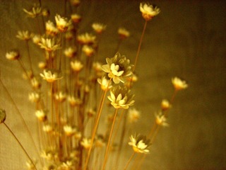 IMG_0766.JPG