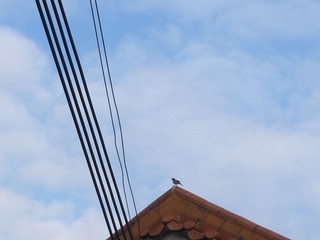 1319726