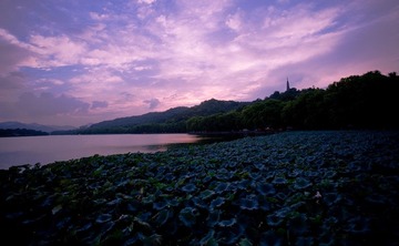 9.10西湖-4816