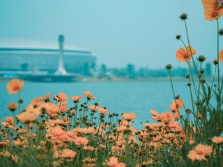 2E2A6A5D-E410-4A0F-BFC9-BD046EA7F40F/L0/001