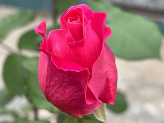 FD8C5D31-9456-4B5A-889A-D68228ADCD2F/L0/001