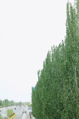 C8B4CF5E-7942-4420-AD1E-B73AB56E5EAD/L0/001
