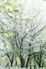 405FD9BB-D841-407B-B52A-AE017708E974/L0/001