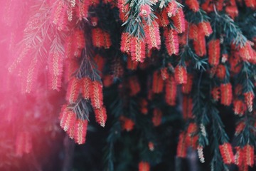 708F31F0-FB2D-4E61-820F-30E8F871FF7A/L0/001