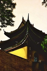 E234A4AE-2CE6-465E-84D5-3B1394C02B21/L0/001