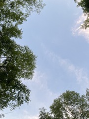 42883F5A-00EE-42CF-843E-BDF85233C00F/L0/001