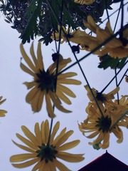 0BFB61A8-8265-4A35-9AD5-A259FAA239B0/L0/001