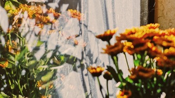 8AD24B81-3482-40E7-99CA-3B2859FCF0FD/L0/001