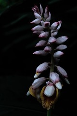 2969AE03-5C0E-4566-A913-1D65EF0FACBB/L0/001