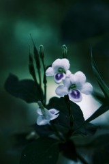 058548B3-C5C4-4162-A8B5-9EAFBF81C832/L0/001