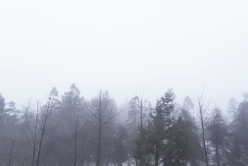 9791979D-5C36-49B5-AD6A-681E58108FDD/L0/001