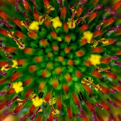 51C8C2C8-1B7C-4E32-BC85-F7B0D55D5441/L0/001