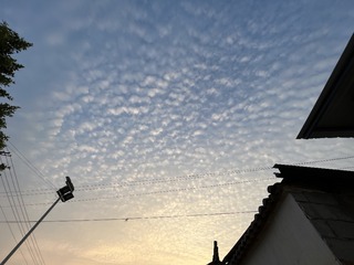 88A115F4-16AB-4EF1-9C1D-FB4EE09D9740/L0/001