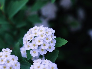BF0791F6-E9E4-44BA-BF8E-077095CCF4AC/L0/001