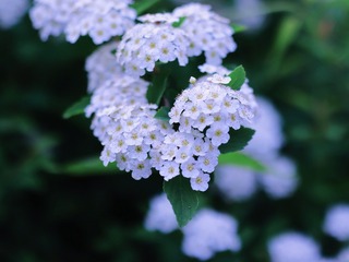 E7B0EC43-FECB-421A-877B-CB75A0DA3FB0/L0/001