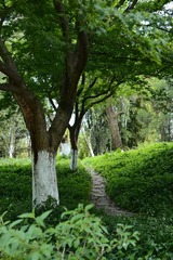 DE9B8209-F7D5-40E7-82C9-9CF116A5891A/L0/001
