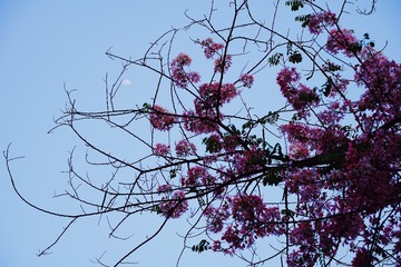 19A49868-CD5F-4C30-A402-157D7AAD3EE3/L0/001