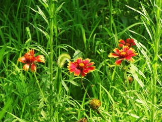 DSCF0322_副本