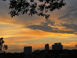 04B95355-A1B4-41F3-85C5-A8134F73E627/L0/001