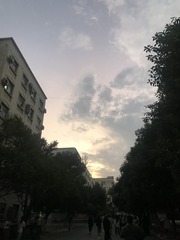 1000000144