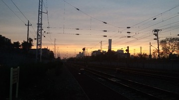 244505