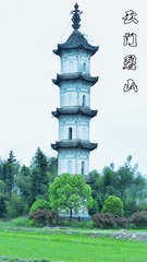 B5A586C1-6573-437C-8326-4A7A6EFD9269/L0/001