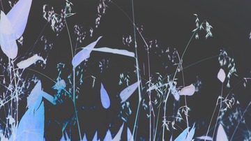 208077