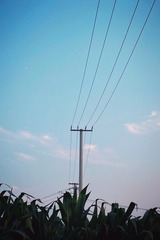 F4EBFEA3-B801-4C88-BC8F-6A8A84CD8E4D/L0/001