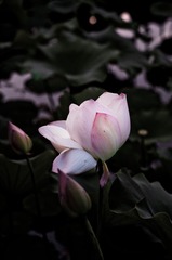 9EDF9EB2-73ED-4642-A70E-A4EFD329F66D/L0/001