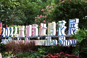 818D952D-CD0B-40DB-BD68-9CB3269F33CD/L0/001