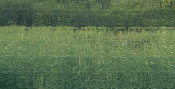 D601A328-3E92-439C-BEA3-3FF81D3A54C9/L0/001