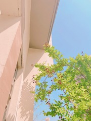 820B505A-20BF-4F38-A90E-930936BD135C/L0/001