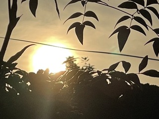 A88DC0D3-64AF-4733-9085-E4D05A2879FA/L0/001