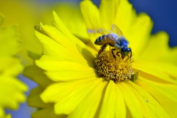 DSC_0297.jpg