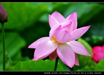 DSC_0840.jpg