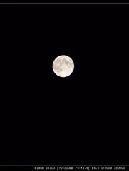 DSC_1149.jpg