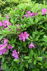 E2B88541-60C1-404C-A756-FB6B5EB916F5/L0/001