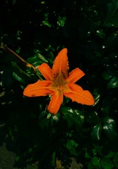 B5573603-904F-4ACA-9DA3-DA70A9DD03B7/L0/001