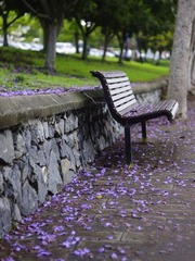 Rainy Day