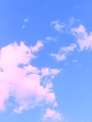 117220