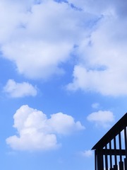 120556