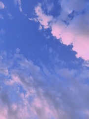 117873