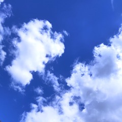 120216