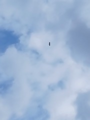117144