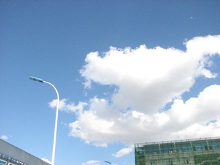 IMG_1263.JPG