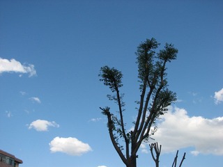 IMG_1268.JPG