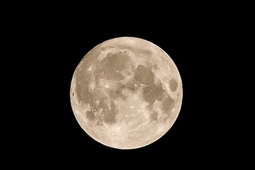 1000114521