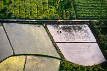 1000254668
